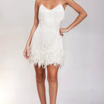 Cecilia | Women's V Neck Fringe Mini Cocktail Dress