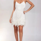 Cecilia | Women's V Neck Fringe Mini Cocktail Dress