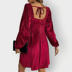 Ellen | Women's Pleated Long Sleeve Velvet Dress